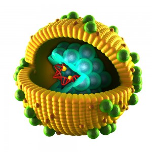 Hepatitis Viruszelle als Grafik