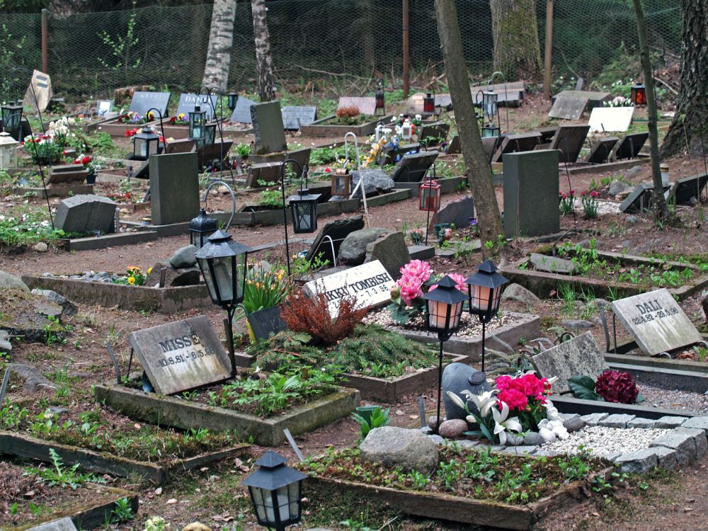 Die Französische Bulldogge auf dem Tierfriedhof begraben.