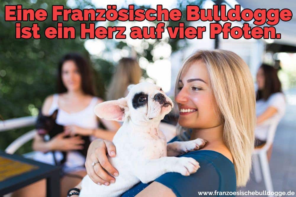 Eine Frau umarmt ihr Französisch Bulldog