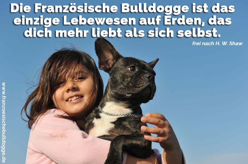 Ein Mädchen umarmt ihre Französische Bulldogge