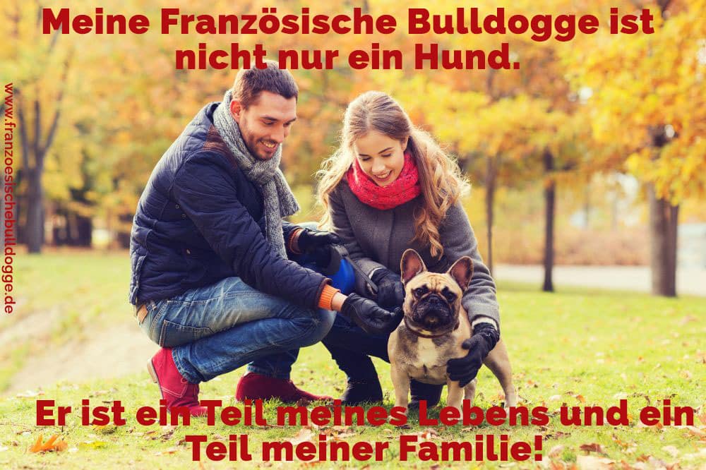 Eine Familie und ihr Französische Bulldogge