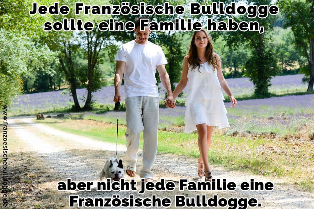 Ein paar Spaziergang mit Ihrem Französisch Bulldog