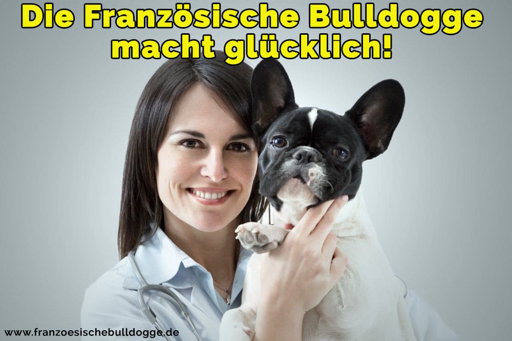 Ein medizinischer Veterinär ihr Französische Bulldog umarmt