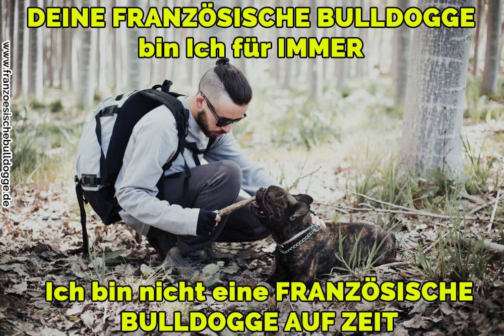 Ein Mann streichelt ihr Französische Bulldog