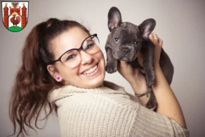 Mehr über den Artikel erfahren Französische Bulldogge Züchter und Welpen in Frankfurt (Oder)